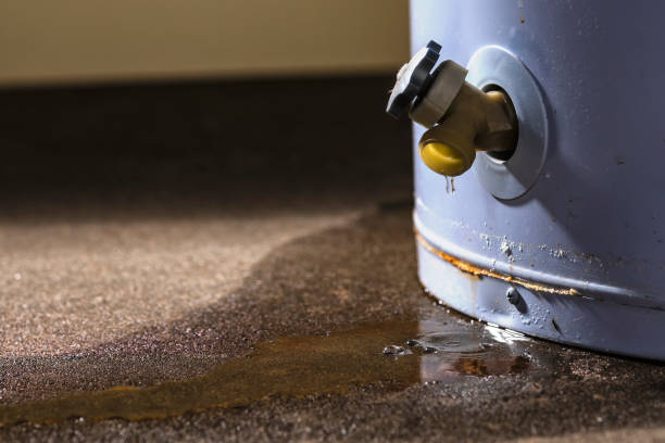 Best Mold removal after water damage  in Caney, KS