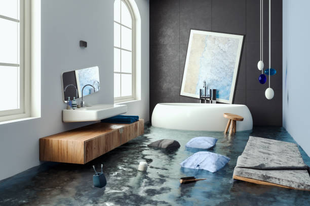 Best Flood damage cleanup  in Caney, KS
