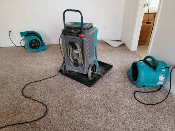 Best Water damage restoration experts  in Caney, KS