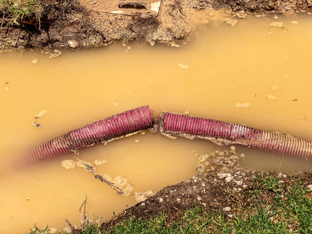 Best Water damage cleanup near me  in Caney, KS